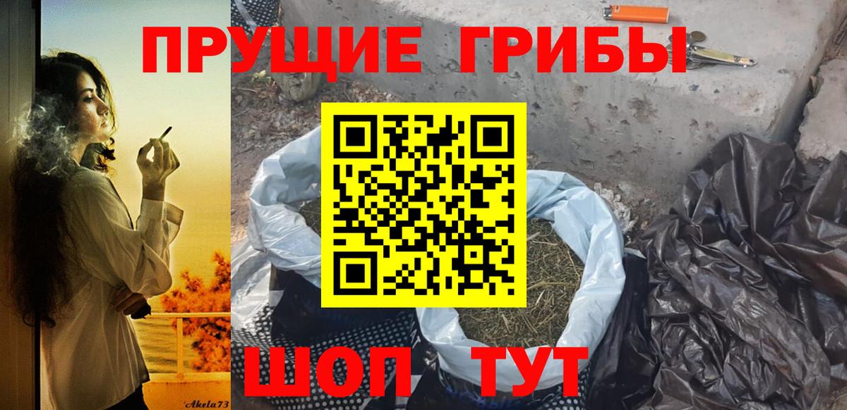 Зима  Псилоцибиновые грибы ЛСД  Вход с VPN 